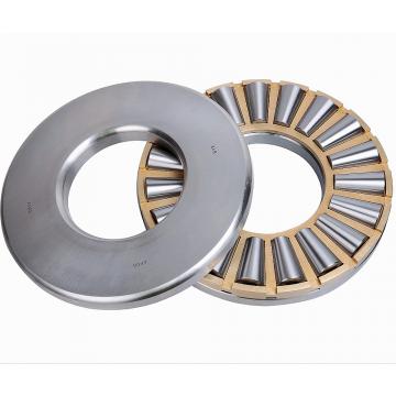 INA RWCT38-A thrust roller bearings