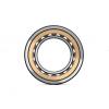 105 mm x 225 mm x 49 mm  NSK NF 321 cylindrical roller bearings