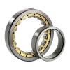 10 mm x 17 mm x 10 mm  ISO RNAO10x17x10 cylindrical roller bearings