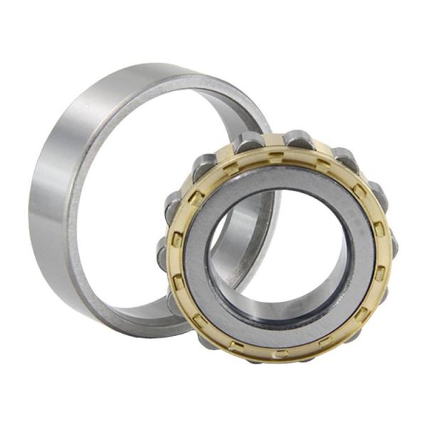 25 mm x 52 mm x 15 mm  ISO NUP205 cylindrical roller bearings #5 image