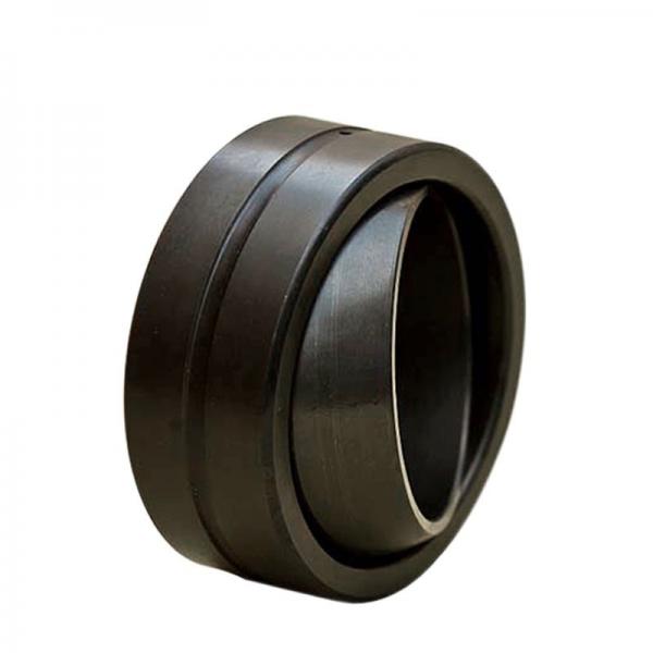10 mm x 19 mm x 9 mm  ISO GE 010 ECR plain bearings #1 image